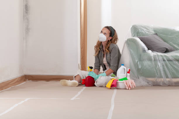 Reliable Basement Mold Removal contractor in Oakdale, MN by WQB Mold Removal